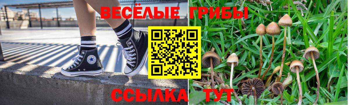 Галлюциногенные грибы мухоморы Усолье-Сибирское